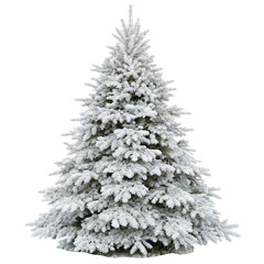 Fototapeta premium Flocked Christmas tree isolated on transparent background