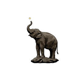 Obraz premium Elephant Vector Logo Design