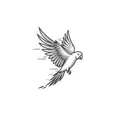 Obraz premium Parrot Vector Logo Design