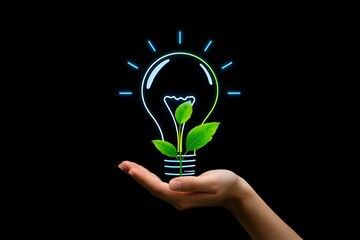 Closeup of hand holding glowing light bulb with green plant inside isolated on black background. Symbol of sustainability, clean energy, eco innovation. Selective focus