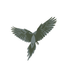 Parrot Vector Logo Design
