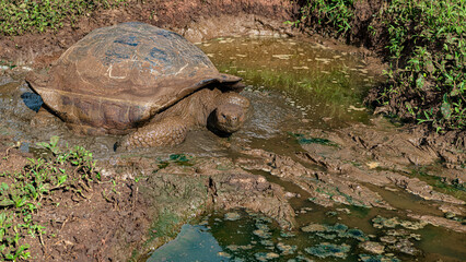 Tierwelten auf den Galapagos Inseln