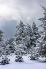 A beautiful winter day 