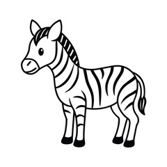 zebra vector illustration
