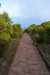 Fototapeta premium Vereda do Pico Ruivo PR1.2 – Madeira Island. The footpath in the clouds on Pico Ruivo hike.