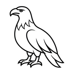 Fototapeta premium eagle vector illustration