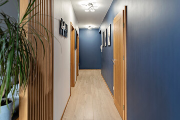 Corridor in hotel. Modern hallway with blue wall and fram and wooden door. Interior of apartment with wooden floor.