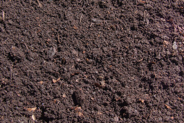The photo shows fertile soil with humus. Dark, rich, with small particles and organic residues.