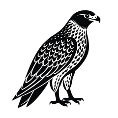 Fototapeta premium bird of prey