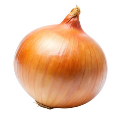 onion isolated on white