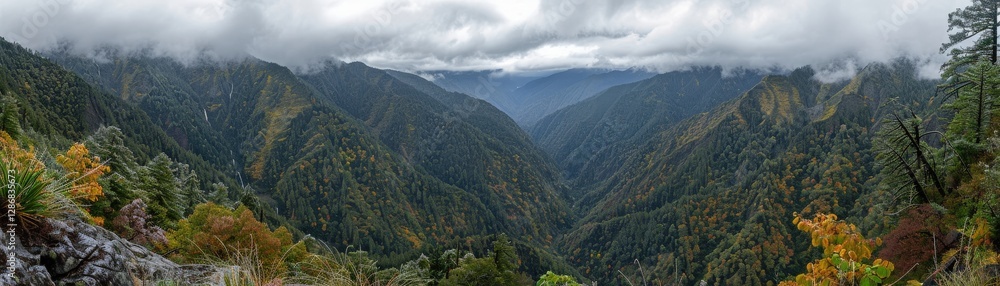Poster a panoramic view of a mountain range with trees and a cloudy sky