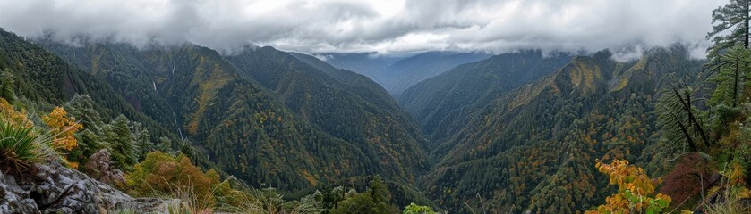 Naklejka premium A panoramic view of a mountain range with trees and a cloudy sky
