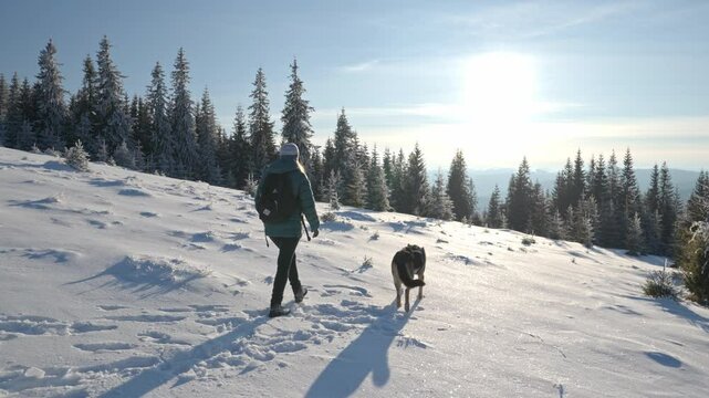Girl with dog walking through snow among trees covered snow. Winter hike in mountains. Adventures in mountains.