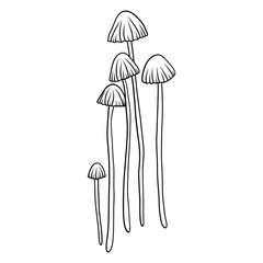 Mystical mushroom in doodle style, outline, silhouette. Whimsical, fantastic mushroom.