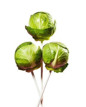 Naklejki Isolated Brussels Sprouts Lollipops