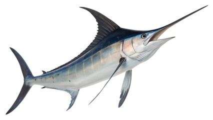 Naklejka premium Illustration of A marlin positioned as if gently floating, its fins slightly spread out and its body subtly curved