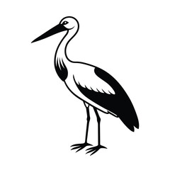 Obraz premium white stork ciconia