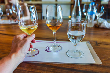 Glasses of white and amber wine with water on tasting mat during wine tasting session at resort restaurant. Mexico. Cancun.
