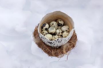 Ein Osternest mit Vogeleiern auf weißem Schneeuntergrund
