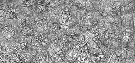 Neuronas, sistema nervioso, conexiones