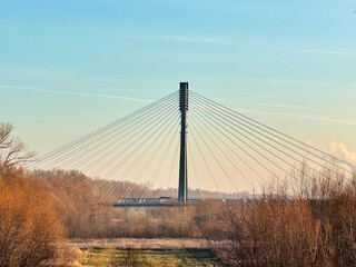 Obraz premium view of a warsaw suspension bridge from a park with autumn colored trees 