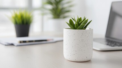 Office Desk with Succulent Plant