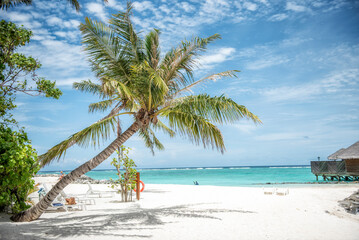 Aerial view of tropical island with white sand beach and turquoise ocean, Maldives © Ewelina