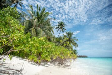 Aerial view of tropical island with white sand beach and turquoise ocean, Maldives © Ewelina