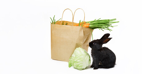 Black bunny sits near craft paper bag full of fresh carrots isolated on white background. Kraft...