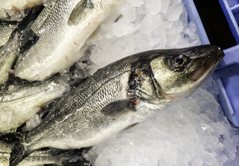 Fresh salmon fishmonger