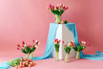 colored tulips with white stand on pink background. bouquet of tulip buds in glass vase on colored