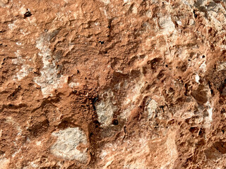 Close-up of textured rock surface revealing geological formations and colors in natural light