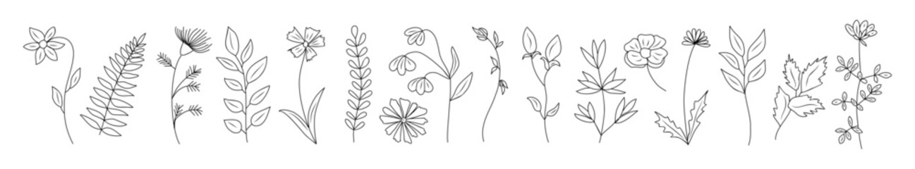 Set of tiny wild flowers and plants line art vector botanical illustrations. Trendy greenery hand drawn black ink sketches collection. Modern design for logo, tattoo, wall art, branding and packaging.