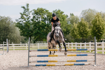 Showjumping gray horse with female jockey, jumping over hurdles, on a sunny day. Equestrian sport concept.