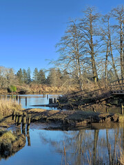 Netul Landing Trail to Fort Clatsop National Park
