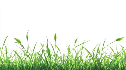Fototapeta premium Fresh green grass blades against clear white background