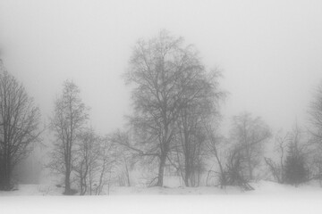 Winter photography a foggy day of rural Toten, Norway, in February 2025.