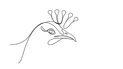 A minimalist line drawing depicts a peacocks head and neck, showcasing its distinctive crest. The singleline style creates an elegant and simple image.