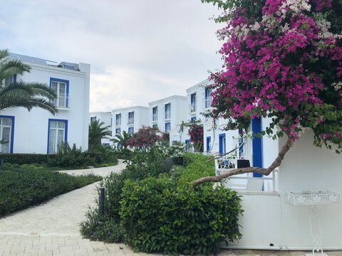 Bodrum turkey la branda 