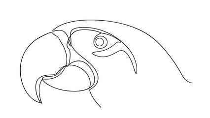 Fototapeta premium Elegant Line Art Drawing of a Scarlet Macaw Head