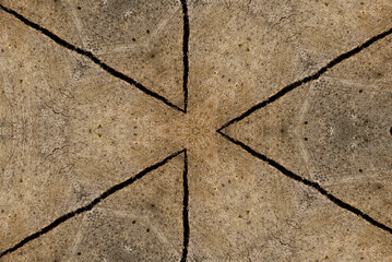 Obraz premium Abstract organic texture tan background lines