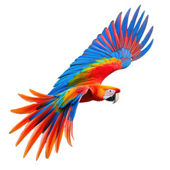 Fototapeta premium 3D Yew Tree isolated on transparent background, PNG