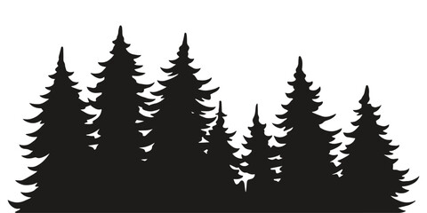 Fototapeta premium Silhouette of tall evergreen trees in a forest