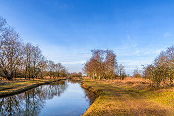 River Landscape with Blue Sky and Trees