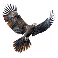 Naklejka premium 3D Palmetto Tree isolated on transparent background, PNG