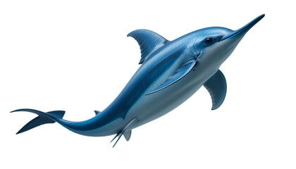 Obraz premium dolphin isolated on white background