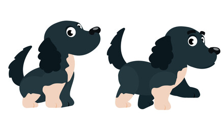 A spaniel in two poses. Cute dog sitting and walking