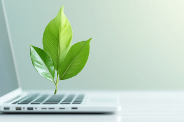 Fresh green leaves emerge from an open laptop symbolizing the fusion of nature and technology. The clean workspace has a minimalistic design, highlighting the importance of sustainability
