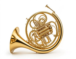 Fototapeta premium Majestic Harmony: The Timeless Elegance of the French Horn