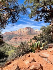 Watchman Trail Viewpoint - Zion National Park